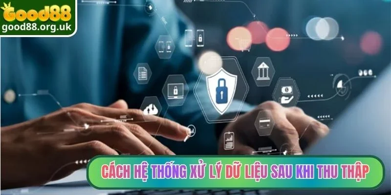 Quyền riêng tư 3 Cách hệ thống xử lý dữ liệu sau khi thu thập